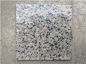 Cheapest Price High Quality Chinese Polished G563/Sanbo Red/San Bao Pink Granite Tiles & Slabs & Cut-To-Size for Floor Covering and Wall Cladding,Own Factory Direct Sale for Project/Hotel/Houses