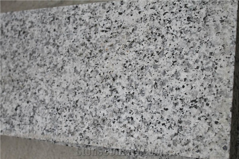 Chinese Cheap Flamed G640/Bianco Sardo/New Grigio Sardo/Padang Gamma/Luna Pearl/Deep Sea Rock/Grigio Barrocco/Spotted Zebra/White Leopard Granite Tiles & Slabs & Cut-To-Size for Outdoor Floor Covering