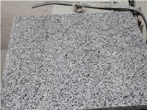 Chinese G640/Bianco Sardo/New Grigio Sardo/Padang Gamma/Luna Pearl/Deep Sea Rock/Grigio Barrocco/Spotted Zebra/White Leopard Granite Tiles & Slabs & Cut-To-Size for Floor Covering and Wall Cladding