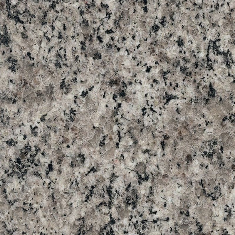 Chinese Polished Classical Grey Granite Tiles & Slabs & Cut-To-Size for Floor Covering and Wall Cladding(Own Factory,Good Price,High Quality)