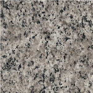 Chinese Polished Classical Grey Granite Tiles & Slabs & Cut-To-Size for Floor Covering and Wall Cladding(Own Factory,Good Price,High Quality)