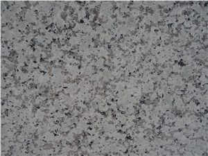 Hot Sale,Cheapest Price High Quality Chinese Natural Polished Bala White Granite Slabs & Tiles & Cut-To-Size,Own Factory Direct Sale for Project/Hotel/House