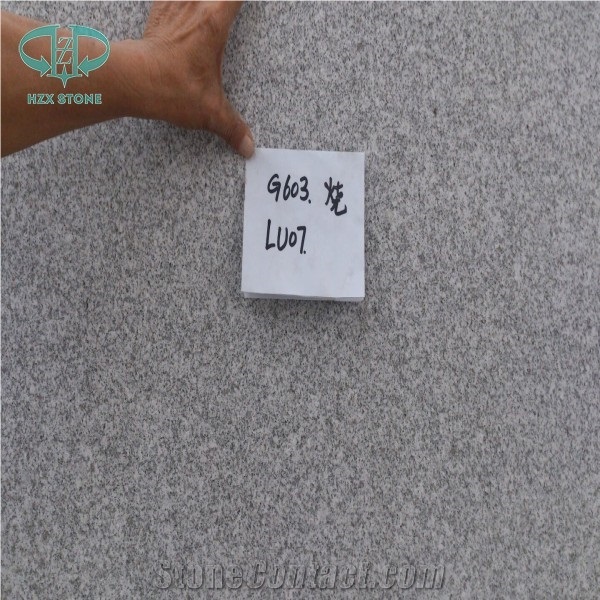 G603/G3503 Granite Flooring Tile/Slab with Cut-To-Size,China Grey Granite, G603 Light Grey Flamed Granite Tile,Padang Light,Sesame White,Padang White,Bianco Amoy,Bianco Crystal