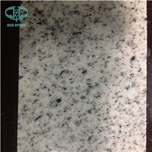 Hot Sale G365 Granite Slabs & Tiles/Laizhou Sesame White/Sesame White/Shandong Sesame White/White Sesame Granite/Shandong Sesame White/Zeshan White