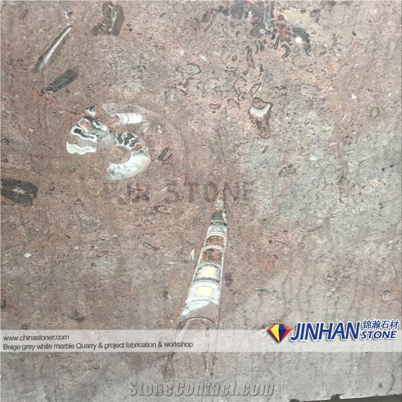 Gran Fossil Marble Slabs, Morocco Marble Slabs
