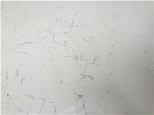 Carrara White D8001 High Quality Quartz Surface with Veined Movement for Laboratories, Healthcare Facilities and Food Preparation Environments