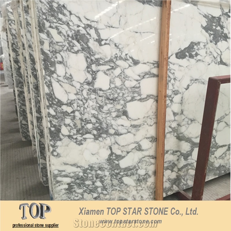 Hot Sale Arabescato Marble White Color Natural Stone Bathroom Wall Tile