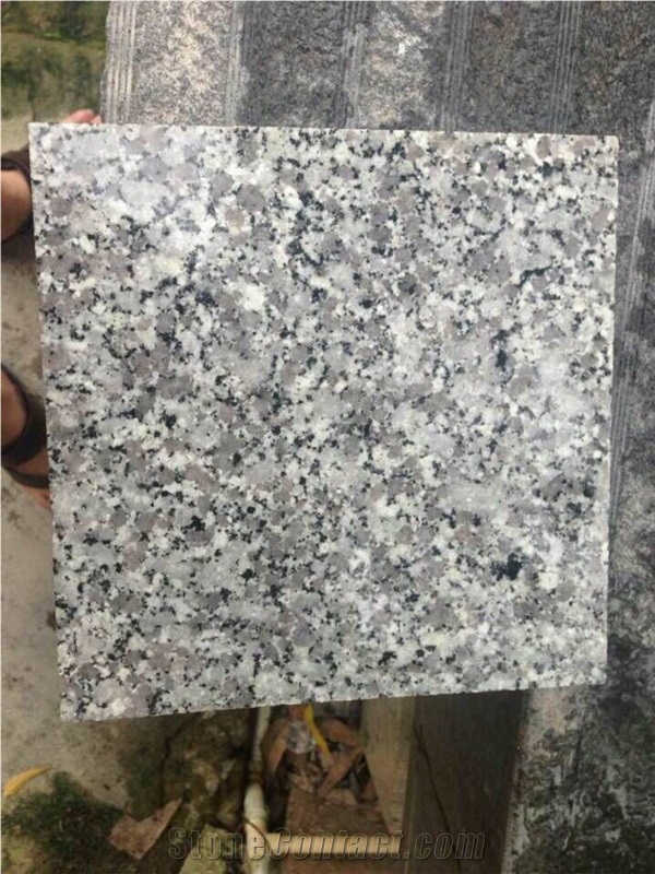 Big Flower Granite Tile & Slab, G439 Tile & Slab