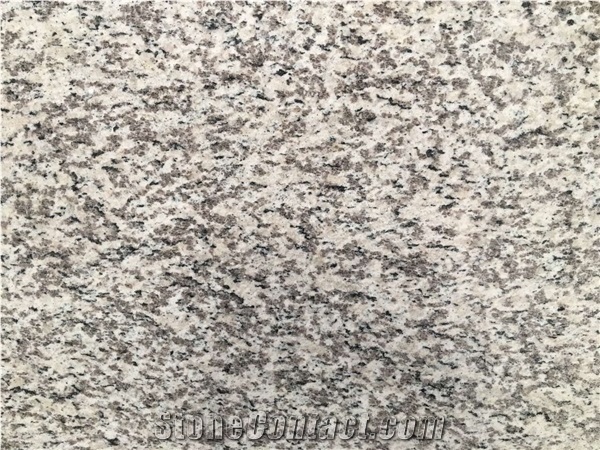 Tiger Skin White Granite Kitchen Tops, Desk Tops, Bench Tops with Bullnose Edge, Chinese Cheap White Granite Countertop