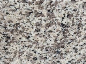 Blanco Perla Granite Slabs & Tiles , Tiger Skin White &Tiger White China Grey Granite