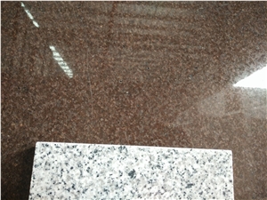China Classic Brown Granite, Polished Wall Tiles, Hot Camel Brown Material for Building Decoration