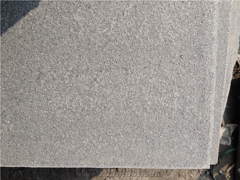 China Padang Dark Granite, Xiamen Grey Granite ,Flamed Long Slab, Granite G654 ,Sesame Black Small Flower