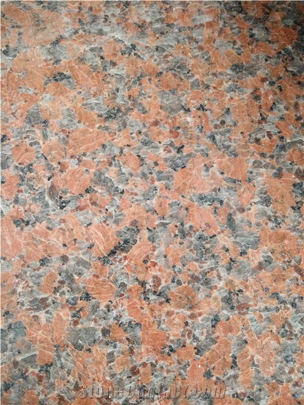 Granite Maple Red Granite,G562 Granite Tile , Polished Tiles for Floor Covering