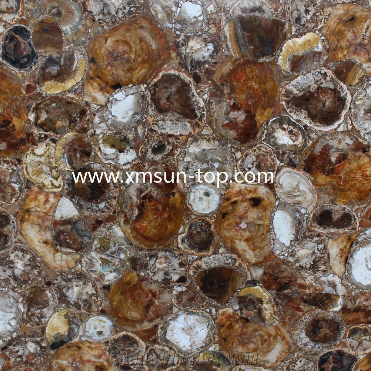 Brown Petrified Wood Semiprecious Stone Slabs&Tiles, Brown Precious Stone Panels, Semi Precious Stone Slab, Fossilized Wood Brown Gemstone Slab for Table Tops,Work Desk, Fireplace, Interior Decoration