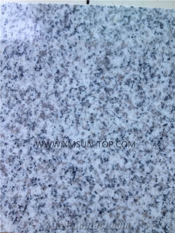 Chinese G603 Cut to Size/ Light Grey Granite for Paving/Padang Light/Sesame White/China Grey Granite Floor Covering