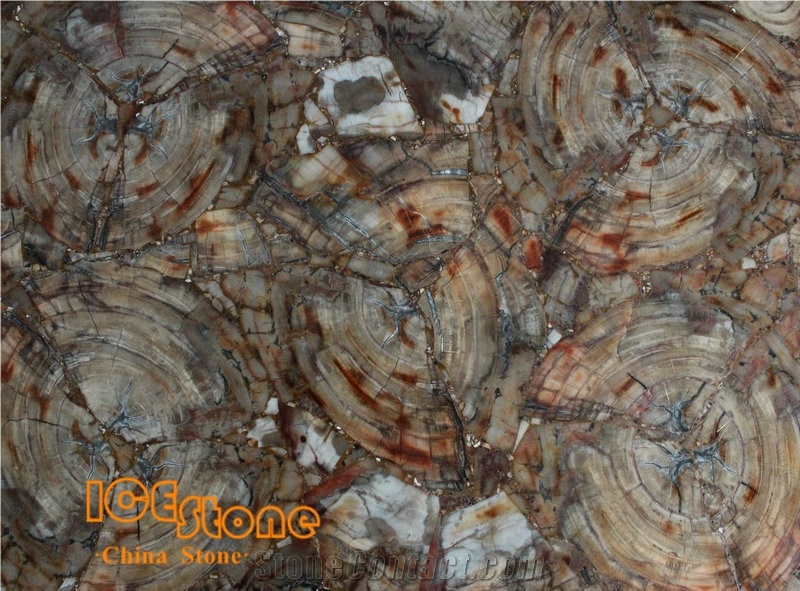 Wooden Stone/Petrified Wood Semiprecious Slab/ Gemstone Tiles/ Semi Precious Slabs/Semiprecious Stone Tiles/Semi Precious Stone Panels/