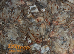 Wooden Stone/Petrified Wood Semiprecious Slab/ Gemstone Tiles/ Semi Precious Slabs/Semiprecious Stone Tiles/Semi Precious Stone Panels/