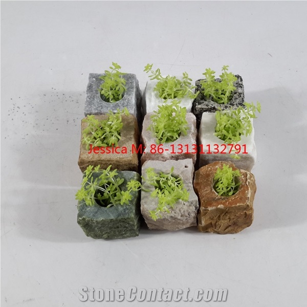 Hand Planted Stone Flower Pots