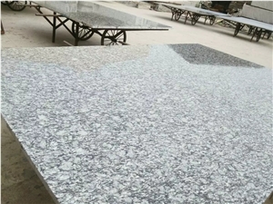 G568 Surf White Seawave Flower Granite, Wave Flower, Wave White Polished Slabs Tiles