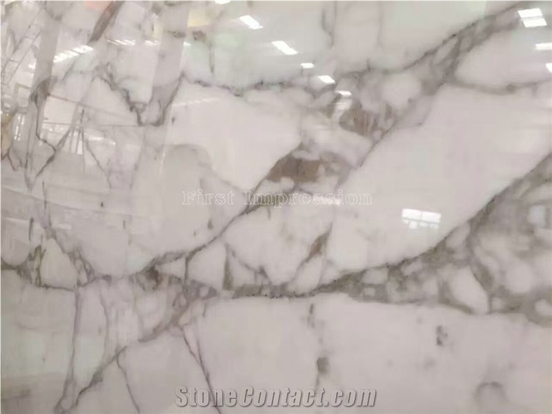 Bianco Statuario White Marble Slab & Tiles/Arabescato White Marble Floor Covering Tiles/White Statuario Slab /Statuario Carrara White Marble Slab & Tiles