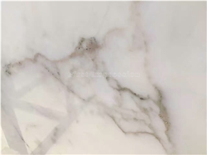 Bianco Statuario White Marble Slab & Tiles/Arabescato White Marble Floor Covering Tiles/White Statuario Slab /Statuario Carrara White Marble Slab & Tiles
