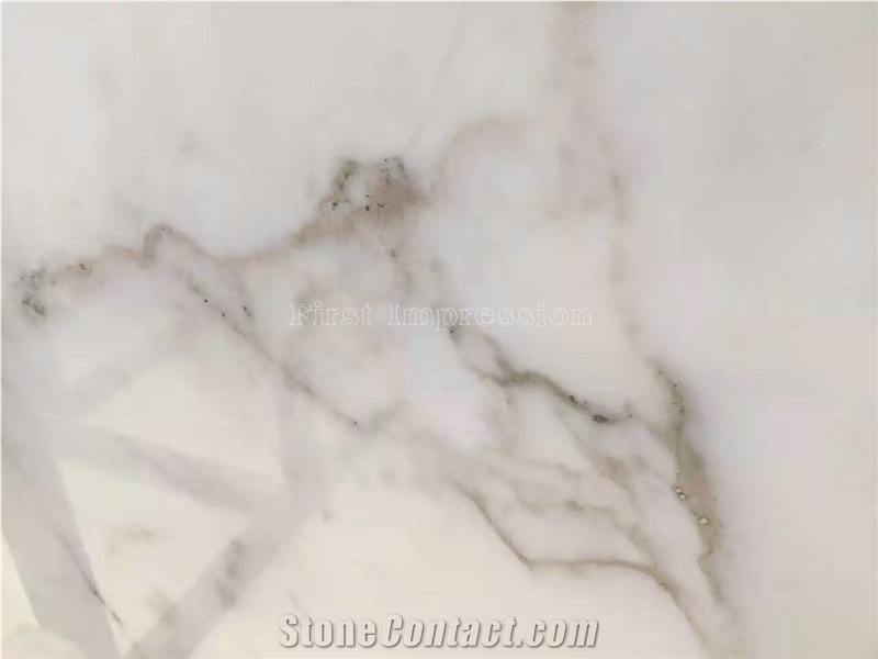 Bianco Statuario White Marble Slab & Tiles/Arabescato White Marble Floor Covering Tiles/White Statuario Slab /Statuario Carrara Slab