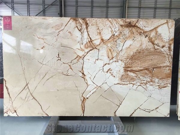 Brazil Roma Impression Quartzite Slab Tileprivate Meeting - 