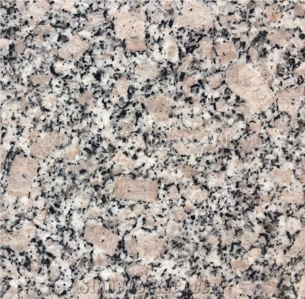 Cheapest Chinese Granite Slabs & Tiles/Light Grey Granite G383/Kerbstone/Paving Stone/Exterior Floor Paving