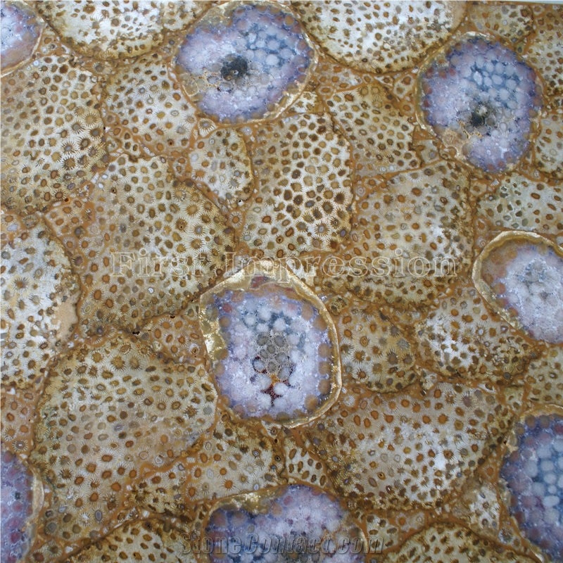 Coral Fossil Backlit Semiprecious Stone Slab & Tiles /Coral Fossil Gemstone Slab