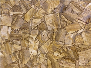 Figure Fossil Gemstone Brown Color Slab / Figure Fossil Precious Stone Tiles and Panles/Brown Semi Precious Slab