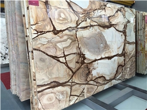 Luxury Wood Quartzite Tiles & Slabs/Palomino Quartzite Gneiss Tiles/Brazil Yellow Quartzite Big Slabs