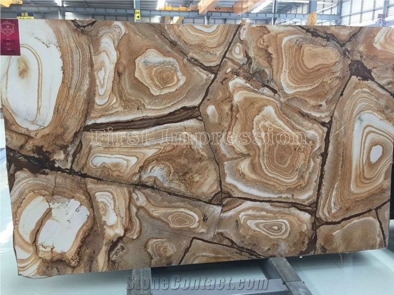 Palomino Quartzite Slabs & Tiles/Top Grade Hotel Interior Decoration Project/New Polished Slabs/High Quality & Best Price Natural Stone
