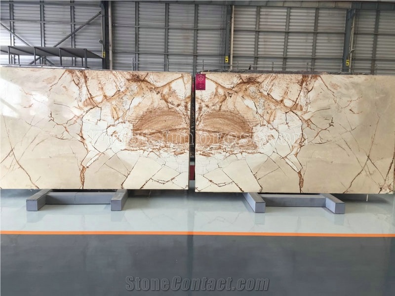 Roma Impression Quartzite Slab & Tile/Private Meeting Place/Top Grade Hotel Interior Decoration Project/New Finished High Quality & Best Price Natural Quartzite