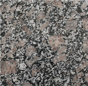 Shandong Quarry the Cheapest Congo Pearl Brown Granite Polished Kitchen Countertop,G334 Polished Brown Customized Counter Top Stone,New Brown Pearl Granite Bar Tops for Cheap Price
