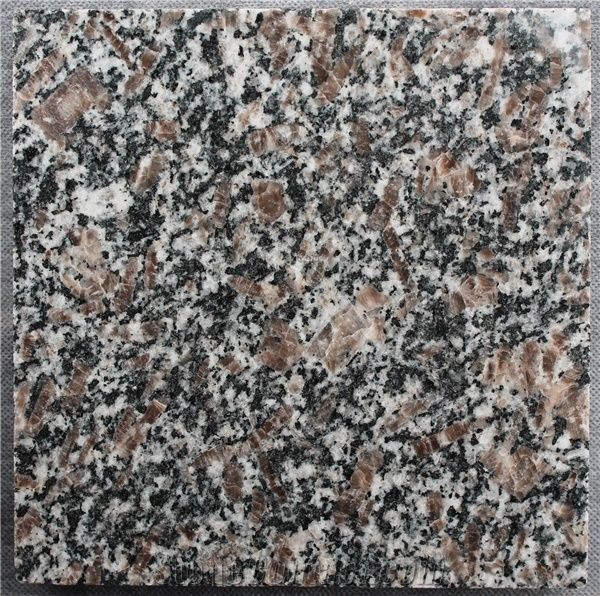 Shandong Quarry The Cheapest Congo Pearl Brown Granite Polished