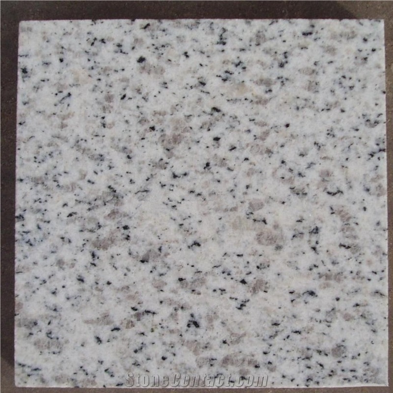 Cheapest Price Polished Shandong Sesame White/Crystal White/China Blanco Platinum Granite Tiles & Slabs & Cut-To-Size for Floor Covering and Wall Cladding,Own Factory Sale for Project/Hotel/House