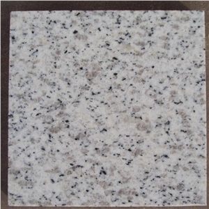 Cheapest Price Polished Shandong Sesame White/Crystal White/China Blanco Platinum Granite Tiles & Slabs & Cut-To-Size for Floor Covering and Wall Cladding,Own Factory Sale for Project/Hotel/House