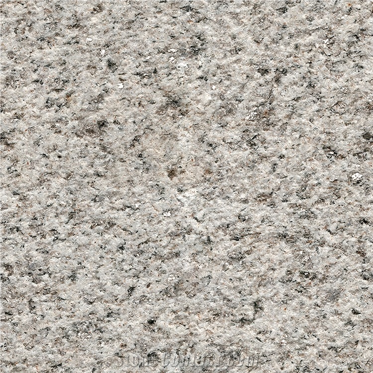 Tianshan White Granite with Grey Color