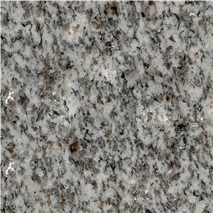 Tianshan White Granite with Grey Color