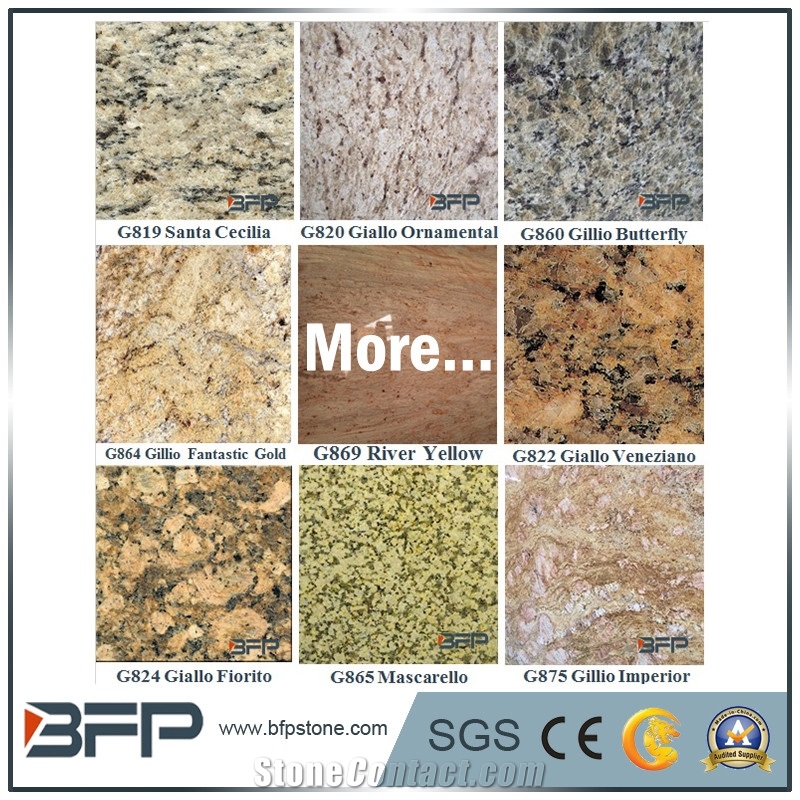 Imported Yellow Granite Slabs for Tiles, Gillo Butterfly, Beautiful Granite for Flooring and Wall Cladding