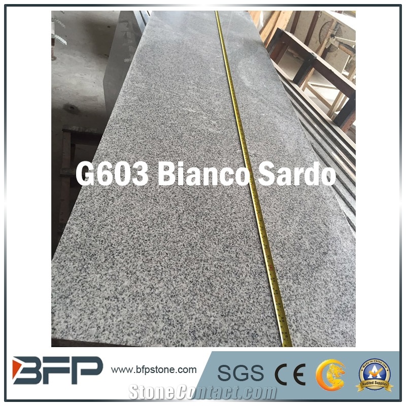 Popular Countertop G603 Bianco Sardo Grey Kitchen Counter Top Polished Countertop