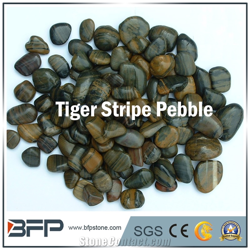 Tiger Stripe Pebble, Tiger Stripe River Stone
