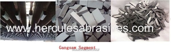 Gangsaw Segment