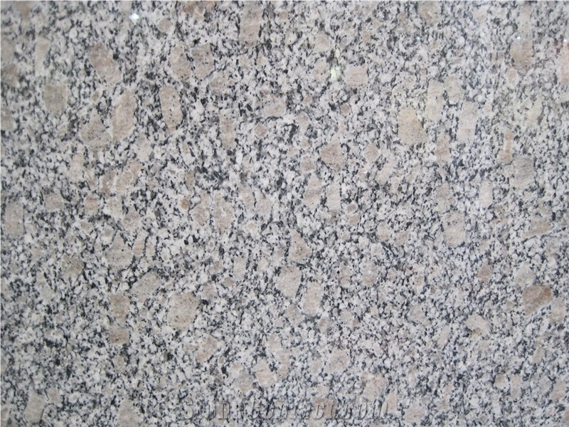 G383 Granite,Zhaoyuan Pearl Granite, Cheap Price China Shandong Laizhou Grey Granite Slab, Granite Tile,Granite Tile Polishing, Floor Polishing, Wall and Floor Covering, Walling