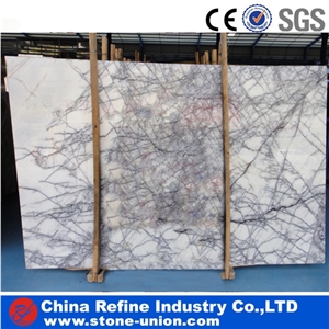 Ice Jade white Marble slab &tiles &grey lines marble slab