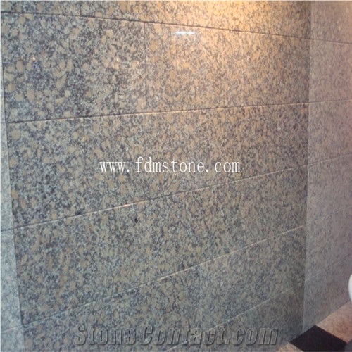 Fujian Yellow Granite G682 Zhangpu Rusty Polished Countertop