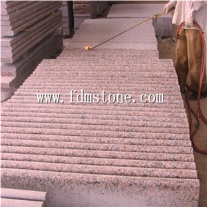 Jiujiang Iron Rusty Slate Stone Honed Bullnosed Step,Stair Treads,Risers,Staircase