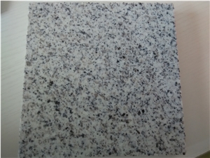 Fargo Shandong White Granite, Chinese White Granite Floor/Wall Tiles