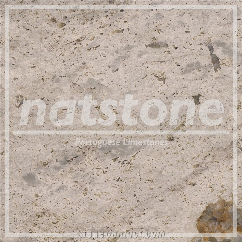 Brecha De St. Antonio Limestone Tiles & Slabs