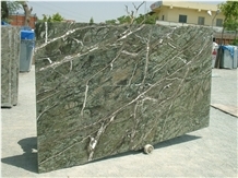 Rain Forest Green Marble Slabs&Tiles,Green Marble Wall &Flooring Tiles &Covering